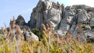 Whispers of Stone